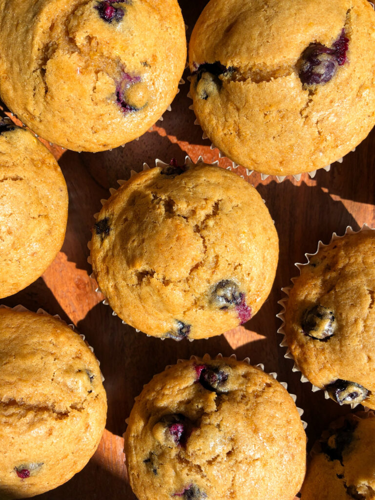 Top view of lemon blueberry muffins