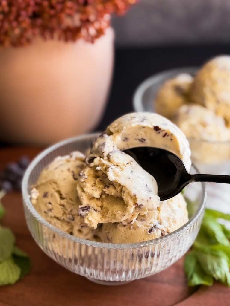 Healthy Mint Chip Ice Cream (with fresh mint leaves)