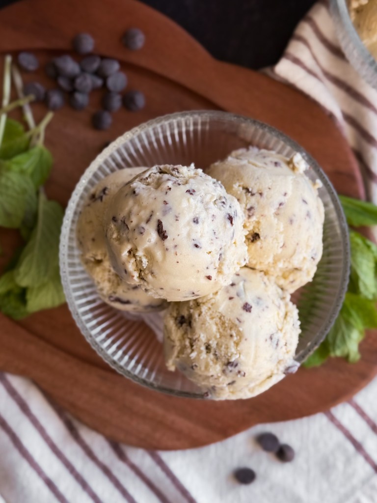 Healthy Mint Chip Ice Cream (with fresh mint leaves)