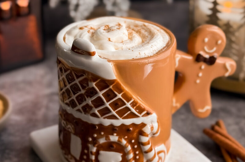 The BEST Healthy Gingerbread Latte - home-cooked living. This gingerbread latte uses ground spices instead of simple syrups.